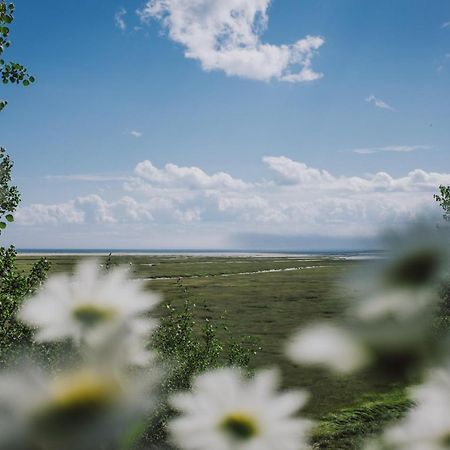 Gite La Maree Portneuf Sur Mer エクステリア 写真