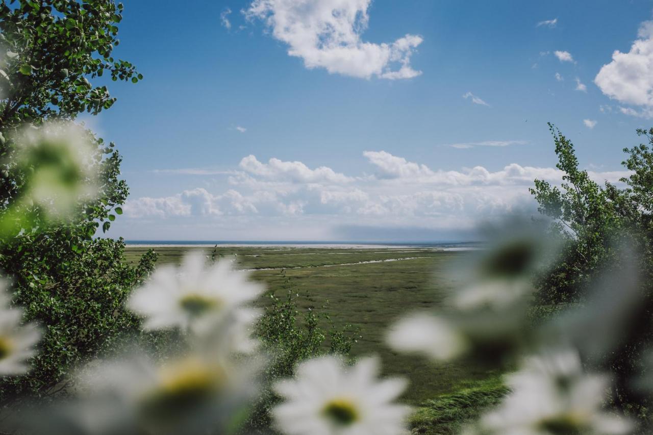 Gite La Maree Portneuf Sur Mer エクステリア 写真